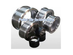 52HRC Paslanmaz X46CR13 Pellet Makinesi Halkası Ölüme Andritz Ahşap Pellet Ölüme